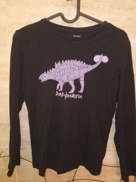Dino mikina, sinsay,140