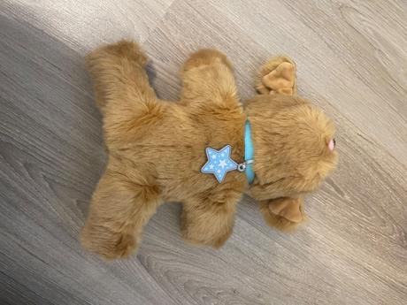 Little live pets - psik, 