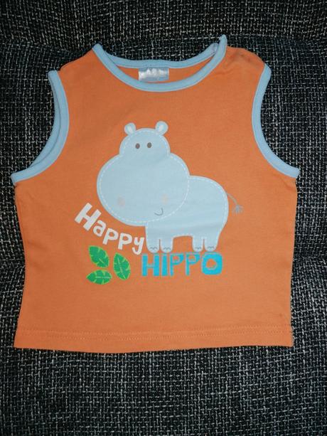 Tielko hrošík, cherokee,68