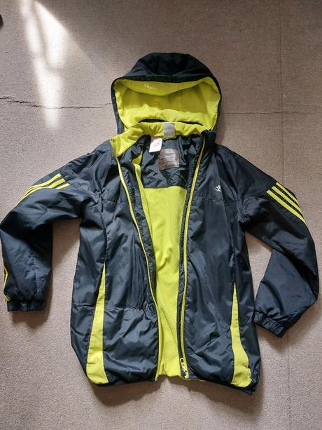 Adidas bunda, adidas,164