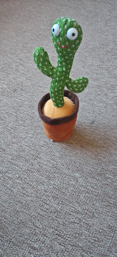 Tancujúci a spievajúci kaktus, 