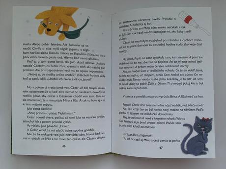 Ivona březinová - chlapec a pes, 