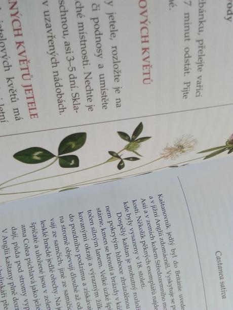 Kniha bylinková kuchárka, 