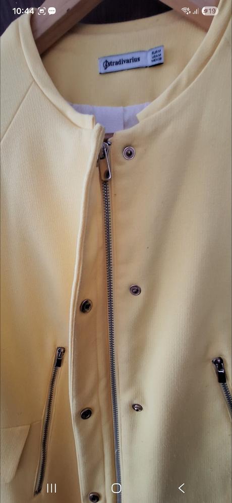 Prechodný žluťásek, stradivarius,m