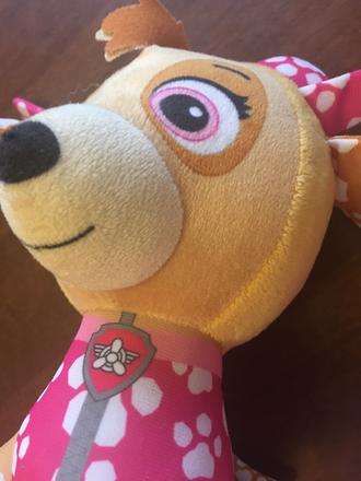 Paw patrol sky,