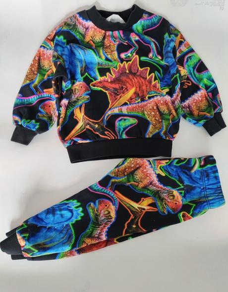 Tepláková súprava s dinosaurami, h&m,92