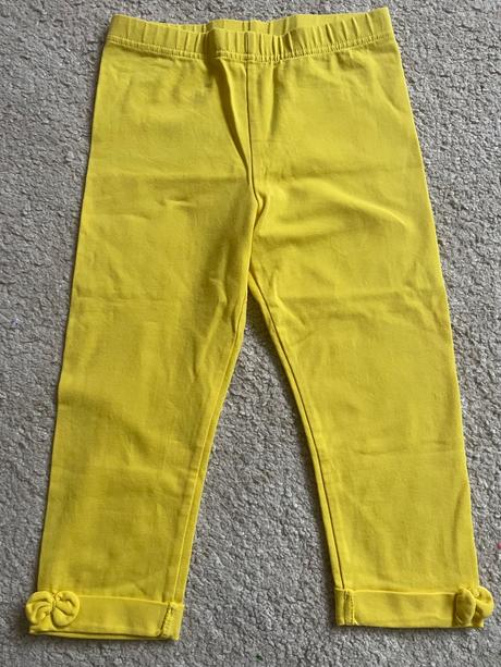 3/4leginy, coccodrillo,116