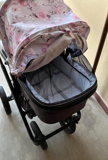 Kočík neonato puro, neonato,neonato puro