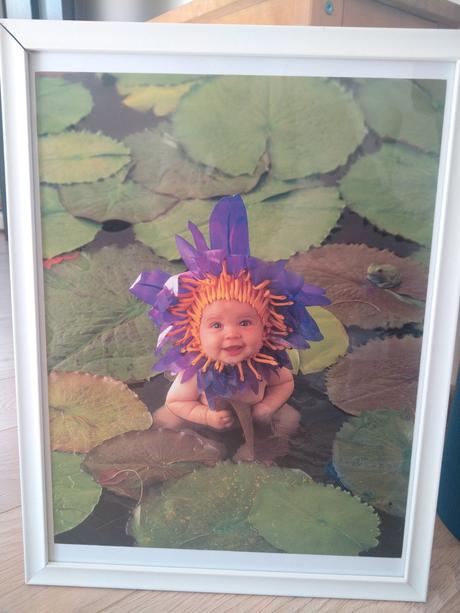 Fotografie anne geddes, 