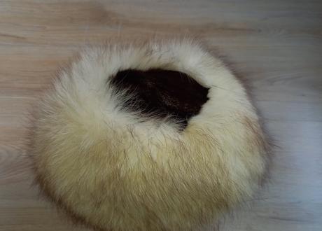 Ciapka zo striebornej - polarnej lisky, m