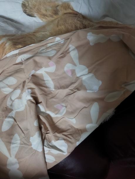 Obliečky, šírka (cm): 140,dĺžka (cm): 200