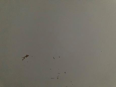 Písací stôl pahl, 