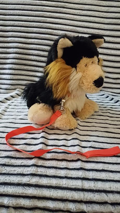 Čierny havko kamoš,