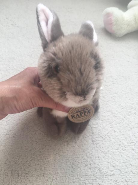 Zajac v realnej bodobe skvely darcek,