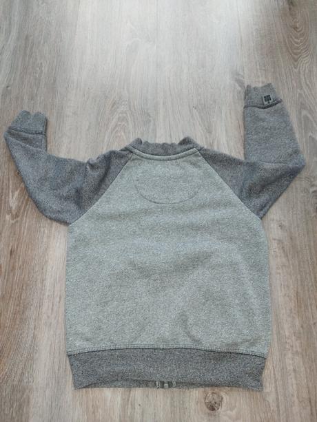 Mikinka, palomino,110