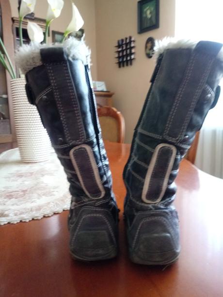 Cizmicky mustang, mustang,29