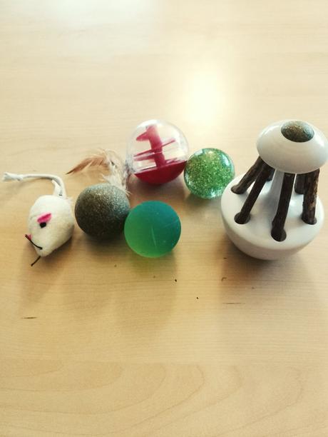 Hračky pre mačky, hlavolam, 