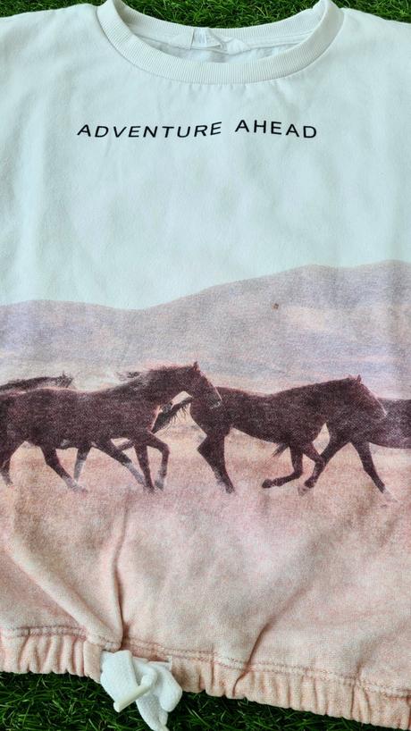 Stylova konikova mikina, h&m,146