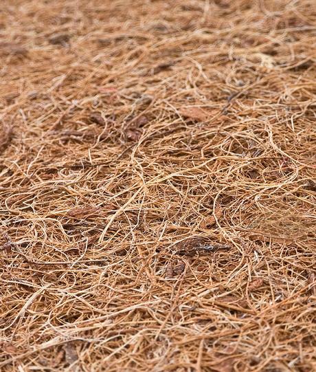 Sensillo matrac latex-molitán-kokos (aloe vera) 12, šírka (cm): 60,dĺžka (cm): 120