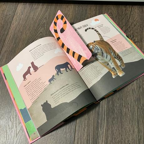 Kniha stretnutie s tigrom,