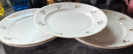 Veľké plytké taniere epiag 5 kusov,