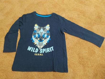 Tričko 98/104 s poštou, 98