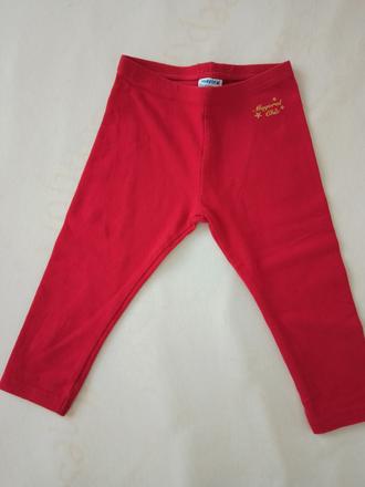 Leginy mayoral, mayoral,80