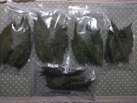 Bobkovy list bylinky,