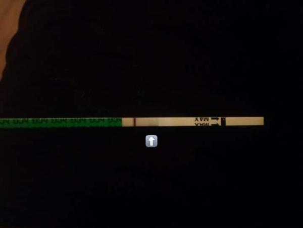 Môžem byť tehotná?