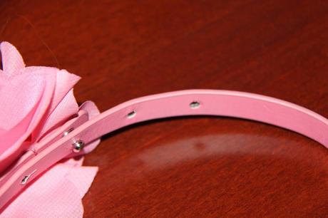 Oranžový opasok, next