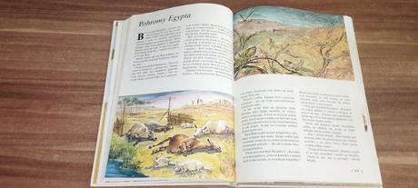 Biblia pre deti, 