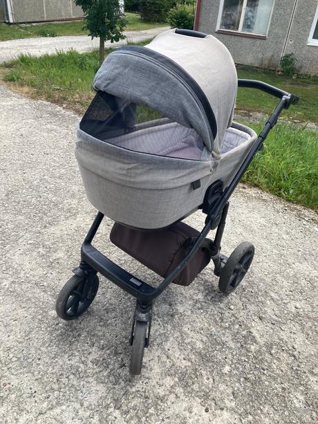 Kočík roan bloom, roan,roan bloom