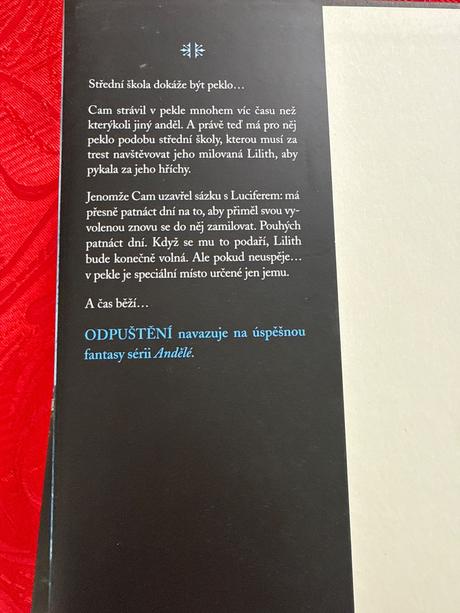 Odpušteni - zamilovani anjeli (kateova), 