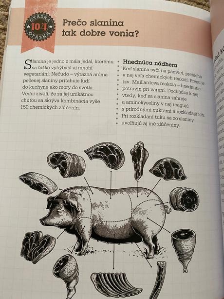 Vedeli ste otázky a odpovede ktoré vás zaskočia, 