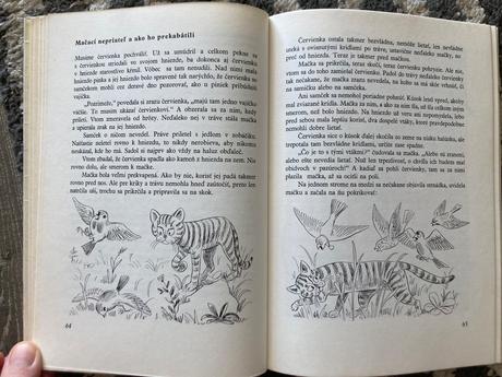 Utečenec na vtáčom strome-prvé vyd.1982,