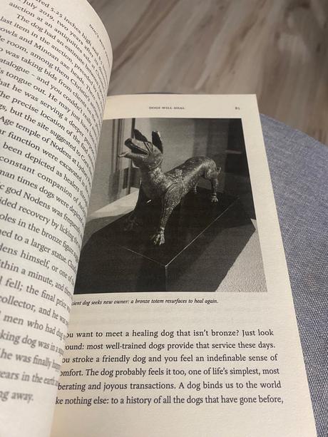 Dog's best friend a brief history of an unbreakab,