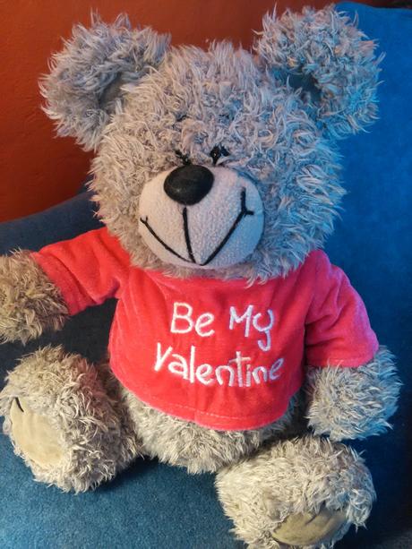 Medveď v ružovom tričku, 