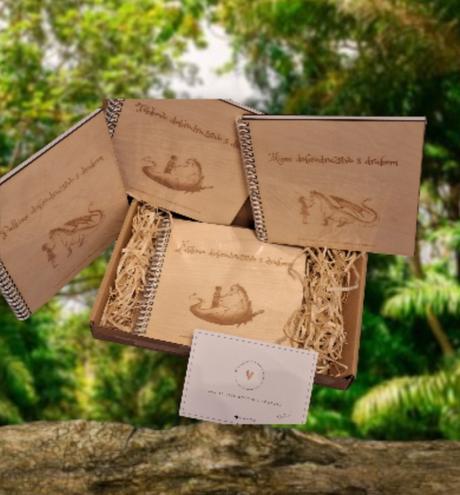 Dobrodruzstvo s drakom s menom+foto vasho dietata, 