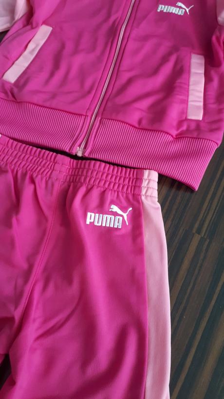 Top stav, s doporucenym postovnym, puma,92