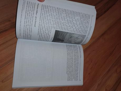 Kniha tragédia celibátu mŕtva manželka, 