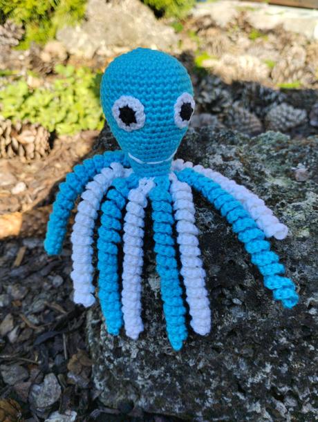 Hackovana chobotnicka, 