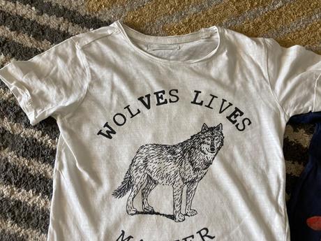 Tičká spiderman a vlk, lindex,116