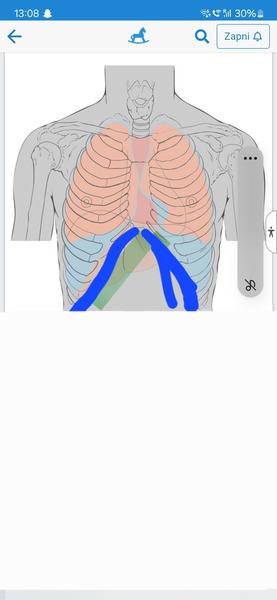 Čo spôsobuje bolesť pod hrudným košom?