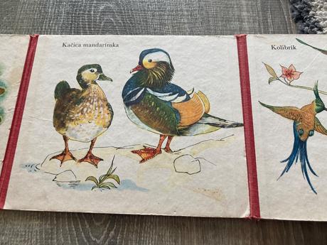 Uhádneš, kto som prvé vydanie (1976), 