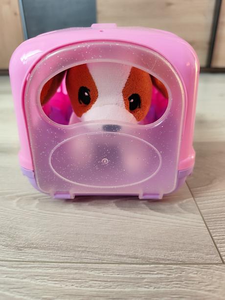 Psik s prepravnym boxom, 