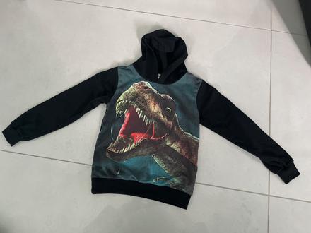 Mikina dinosaurus, 116