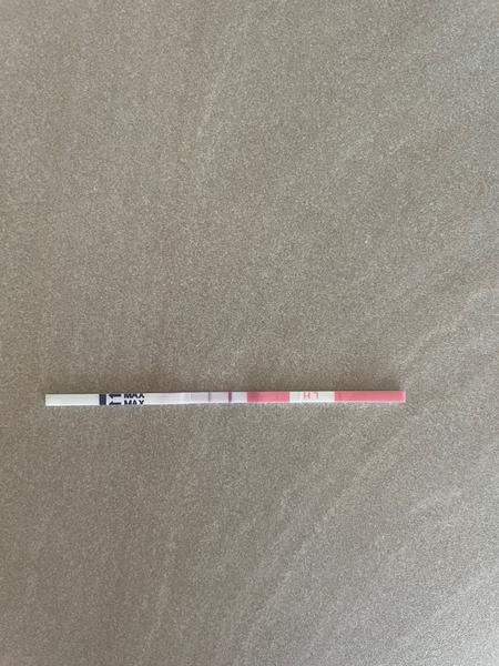 Je možné, že mám dve ovulácie za sebou?