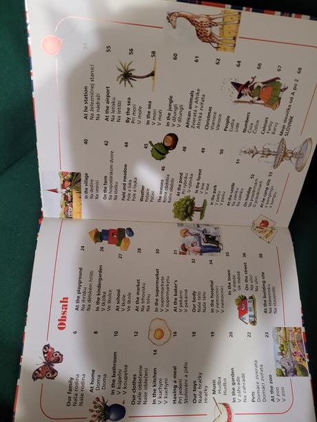 Obrázkový slovnik,