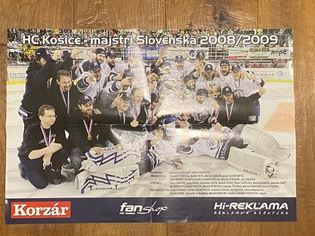 Majstri slovenska 2008/2009,