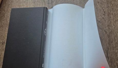 Meg cabot - nenásytná , příliš velké sousto, 